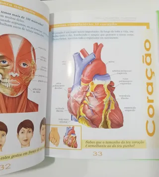 Enciclopédia Ilustrada do Corpo Humano