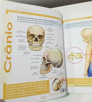 Enciclopédia Ilustrada do Corpo Humano