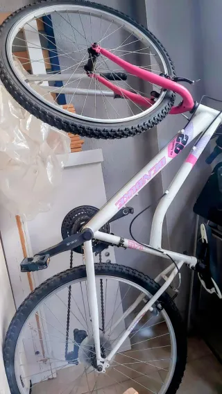 Bicicleta Denbike 26