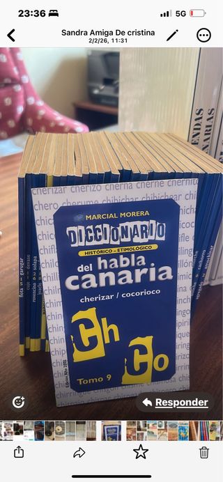 Diccionario historico erimologico habla canario