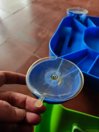 Silla para duchar bebé