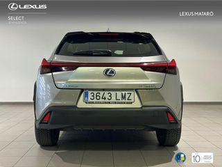 LEXUS UX BEV 54.3KWH 300E BUSINESS 204 5P TITANIUM