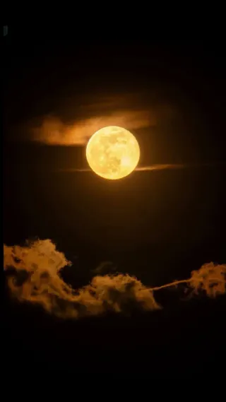 Servicio de limpieza