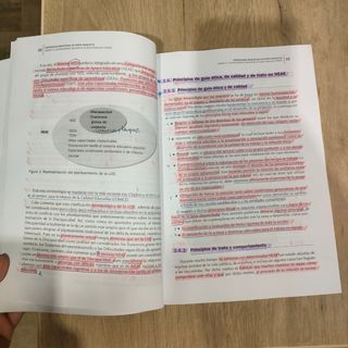 Necesidades específicas de apoyo educativo