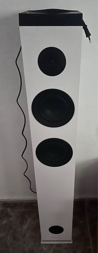 Altavoz Torre Bluetooth Blanco y Negro