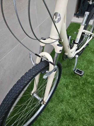 Bicicletas Orbea y Giant Liv.