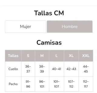 Camisa Rayas Verde y Blanca Pedro del Hierro