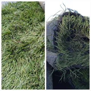 Césped artificial venta