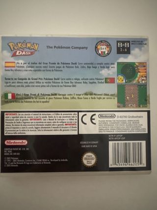 Pokemon Dash Nintendo DS