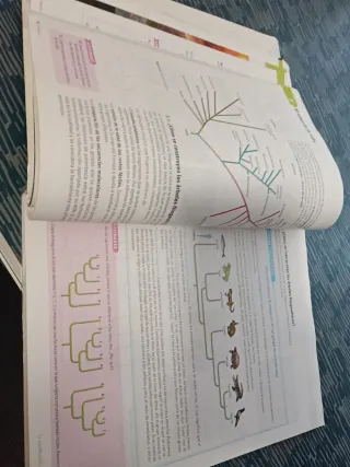 Biología y geología. 1 Bachillerato. Savia (Spa...