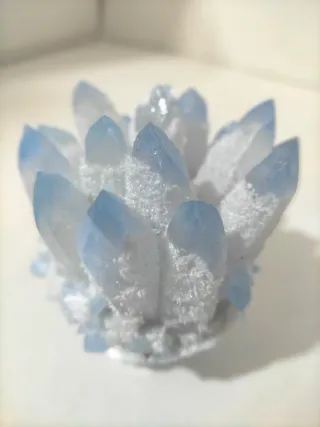 Racimo de Celestina azul celeste