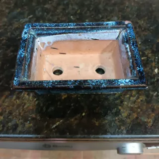 Macetero Cerámico Bonsái. Nuevo