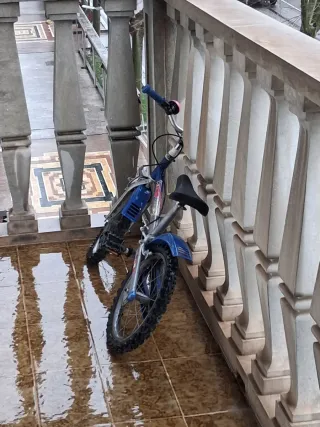 Bicicleta infantil azul