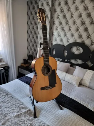 Guitarra Electrificada