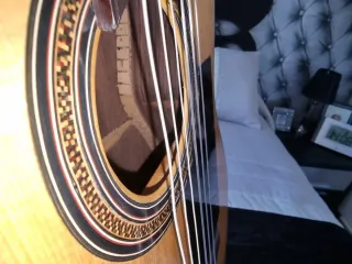 Guitarra Electrificada