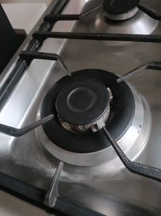 Cocina de gas butano plateada,el horno es eléctric