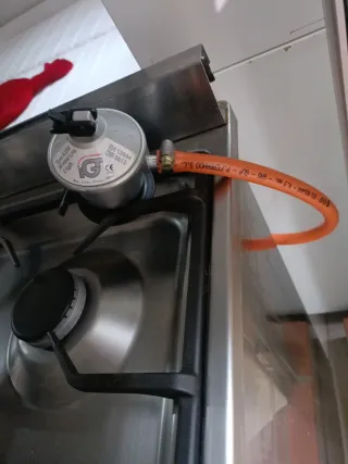 Cocina de gas butano plateada,el horno es eléctric