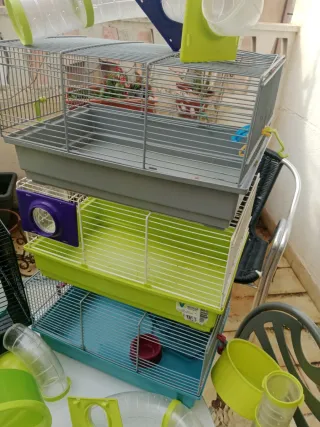 Lote jaulas y tubos hámster