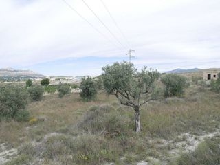 Terreno en venta en Sax