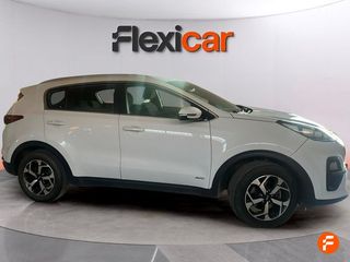 Kia Sportage 1.6 MHEV Business 100kW (136CV) 4x4