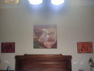 3 Cuadros Decorativos