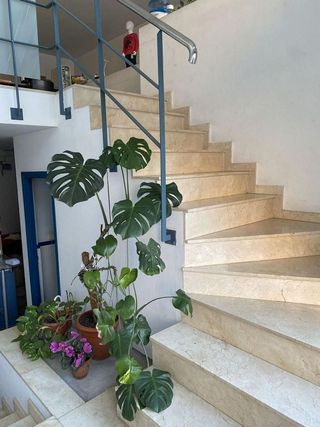 Local comercial en venta en Riera en Cornellà de Llobregat