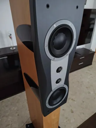 Dynaudio Confidence C2