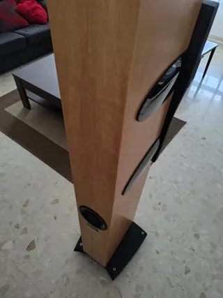 Dynaudio Confidence C2