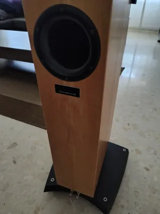 Dynaudio Confidence C2