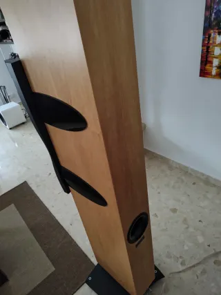 Dynaudio Confidence C2