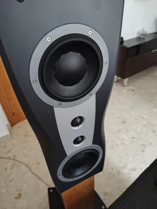 Dynaudio Confidence C2