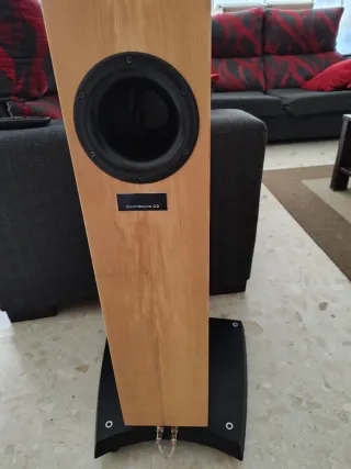 Dynaudio Confidence C2