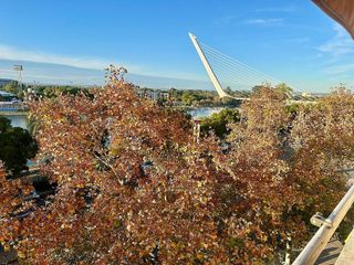 Piso en alquiler en Doctor Barraquer - G. Renfe - Policlínico en Sevilla