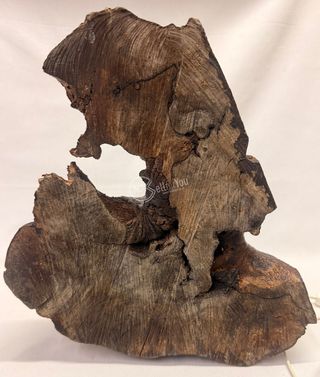 Lampada design radice d'albero in legno