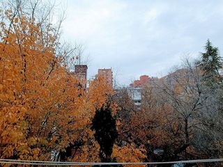 Piso en alquiler en Estrella en Madrid