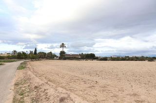 Solar en venta en Perleta - Maitino en Elche