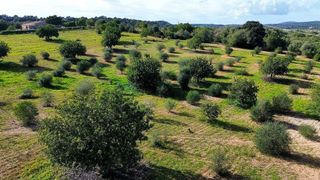 Terreno en venta en Sant Llorenç des Cardassar