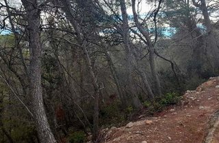 Terreno en venta en Mas Alba en Sant Pere de Ribes