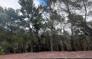 Terreno en venta en Mas Alba en Sant Pere de Ribes