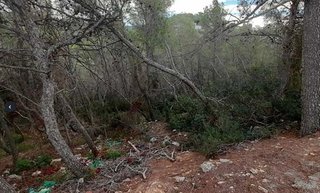 Terreno en venta en Mas Alba en Sant Pere de Ribes