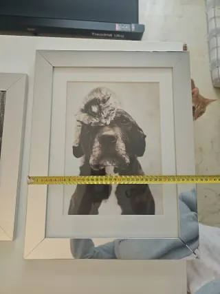 3 quadri in bianco e nero, cornice argentata