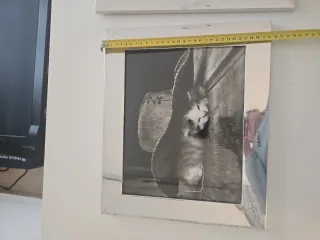 3 quadri in bianco e nero, cornice argentata