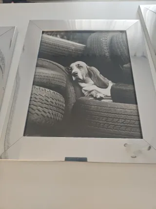 3 quadri in bianco e nero, cornice argentata