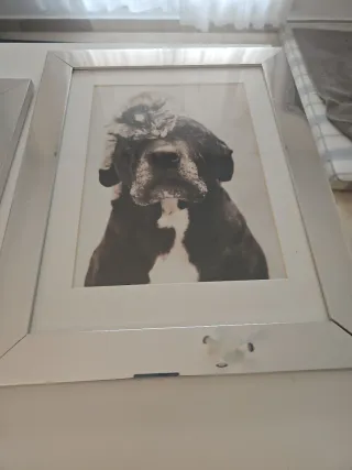 3 quadri in bianco e nero, cornice argentata