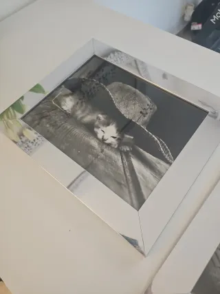 3 quadri in bianco e nero, cornice argentata