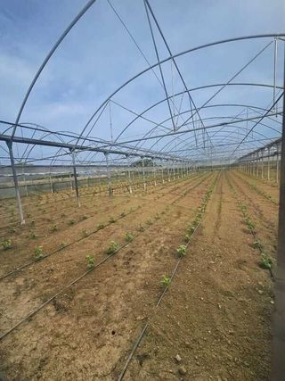 Terreno en venta en Área Rural en Ferrol