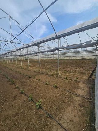 Terreno en venta en Área Rural en Ferrol