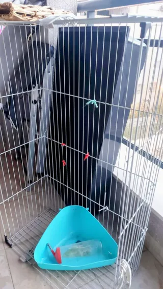 Jaula / Parque Modular Mascotas