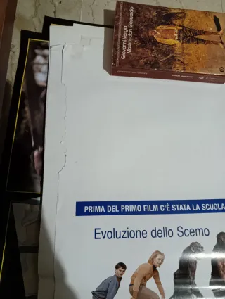 Locandina Film Scemo & Più Scemo