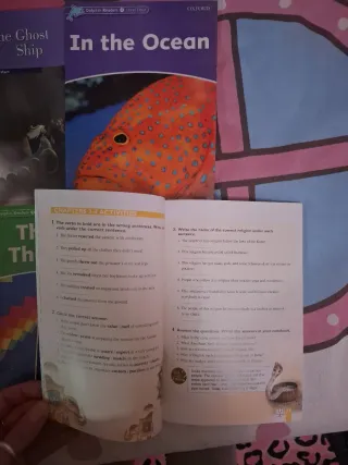 lote de libros Burlington books